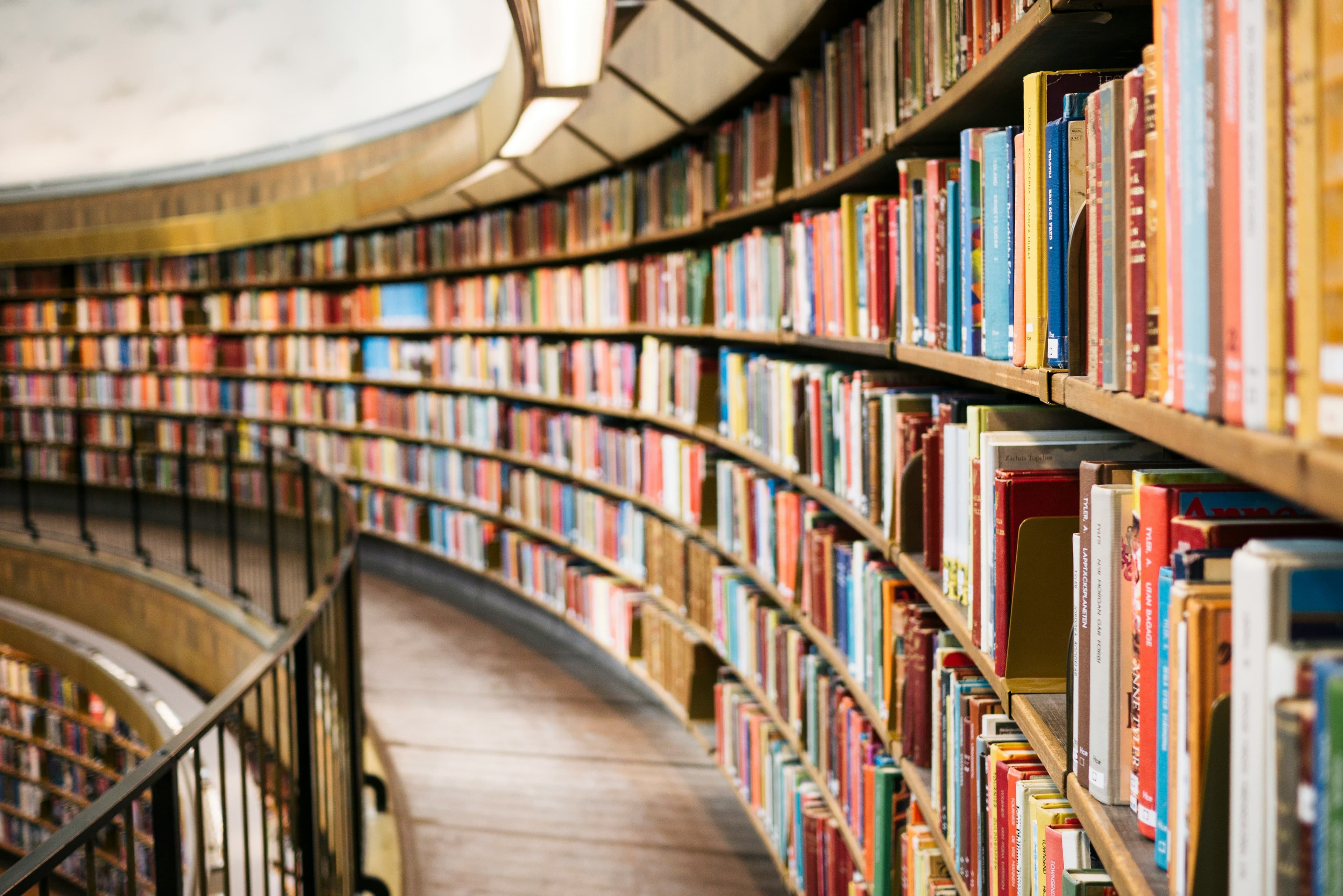 Education background
